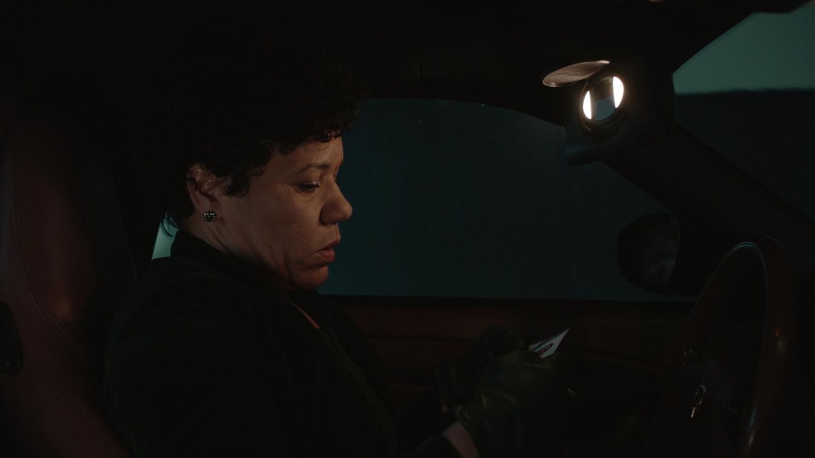 Gallery image of the project Wolf to Woman