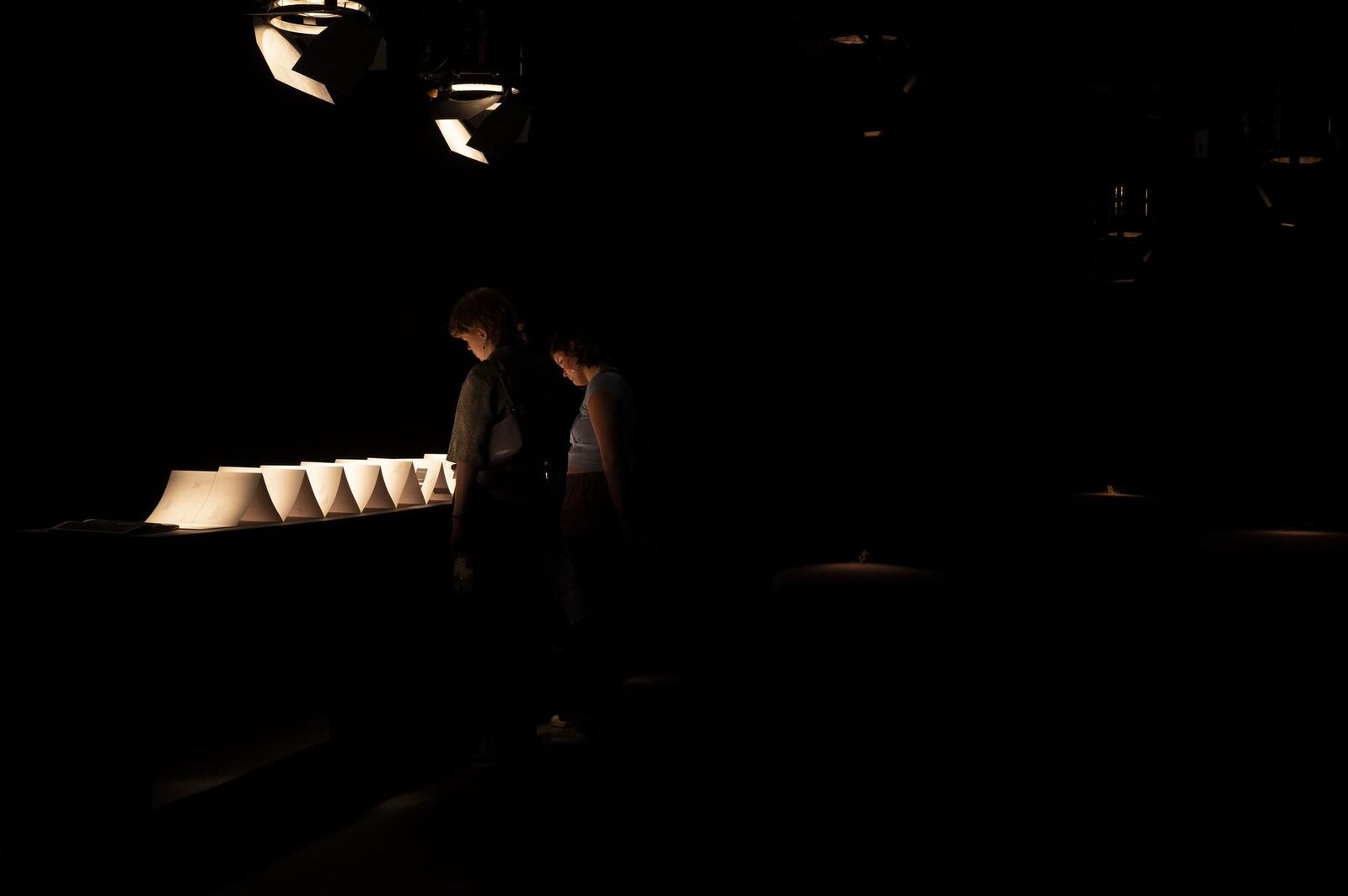 Gallery image of the project «Dann kommen ja die grünen Vögel nicht mehr wieder, wenn die Kastanien weg sind»