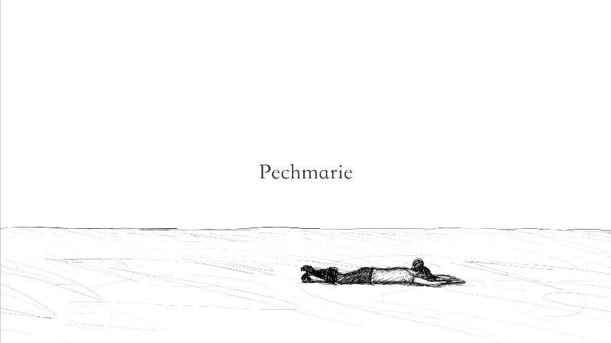 Cover image of the project Pechmarie