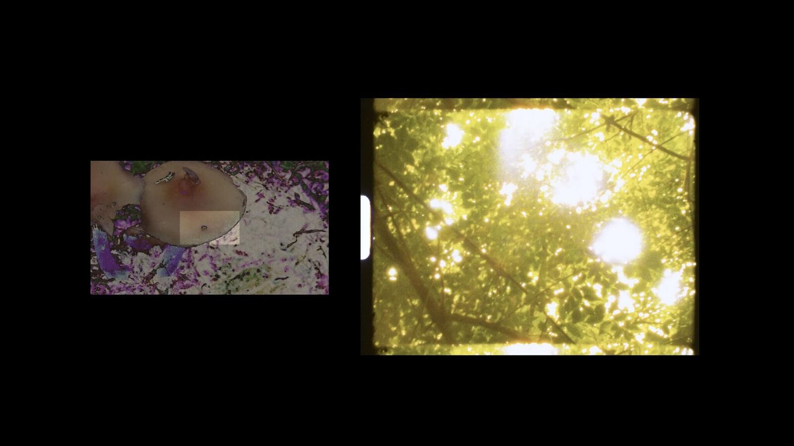 Gallery image of the project To Revere