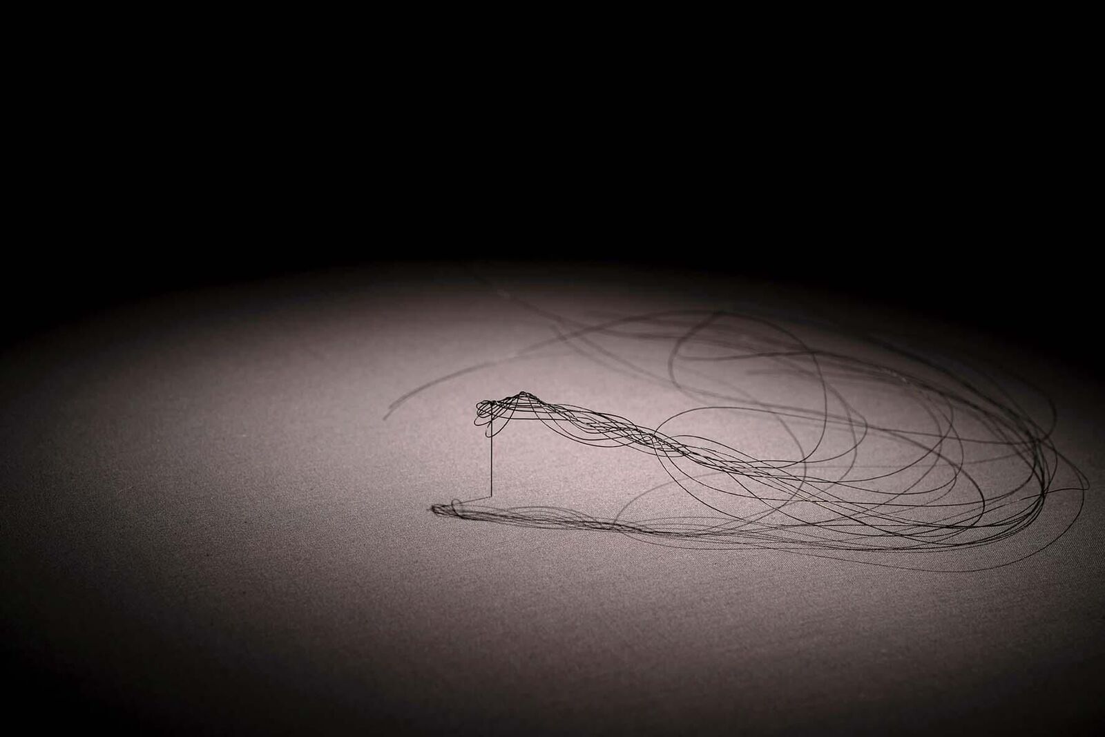 Gallery image of the project «Dann kommen ja die grünen Vögel nicht mehr wieder, wenn die Kastanien weg sind»