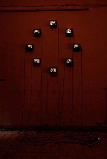 The Dark Chamber Gallery image of the project The Dark Chamber