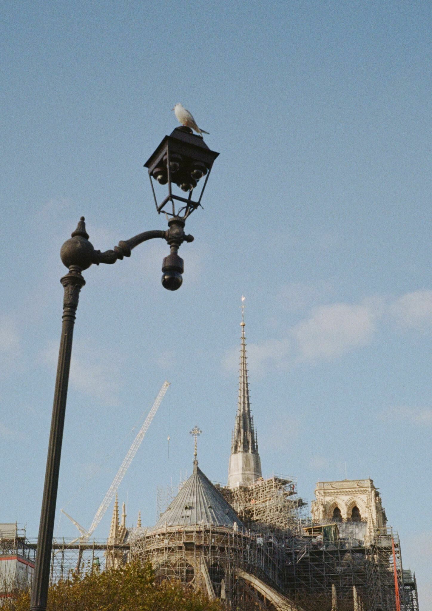 Cover image of the project Dead Glitch – Higher, Faster, Stronger