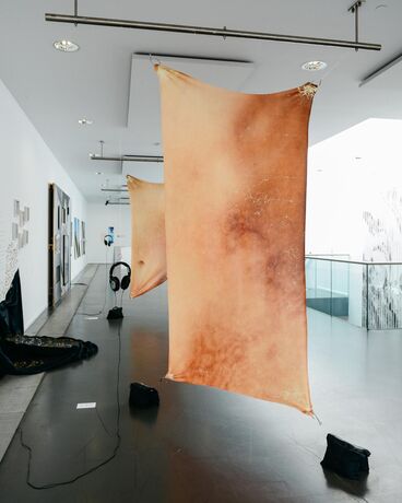 Gallery image of the project Do you wanna hear about the tear in my body?