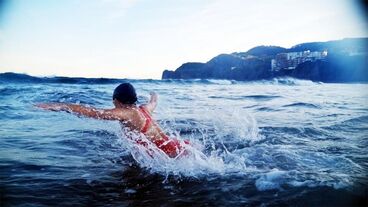 Die Schwimmerin Gallery image of the project The Swimmer
