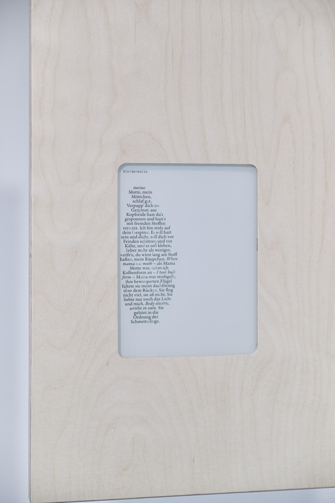 Gallery image of the project Archives & Butterflies