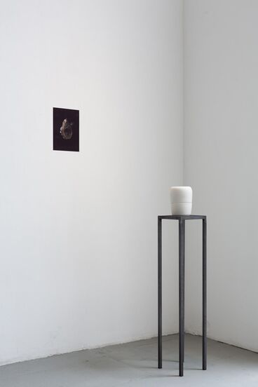 Multispecies Archaeology I / Multispecies Mourning