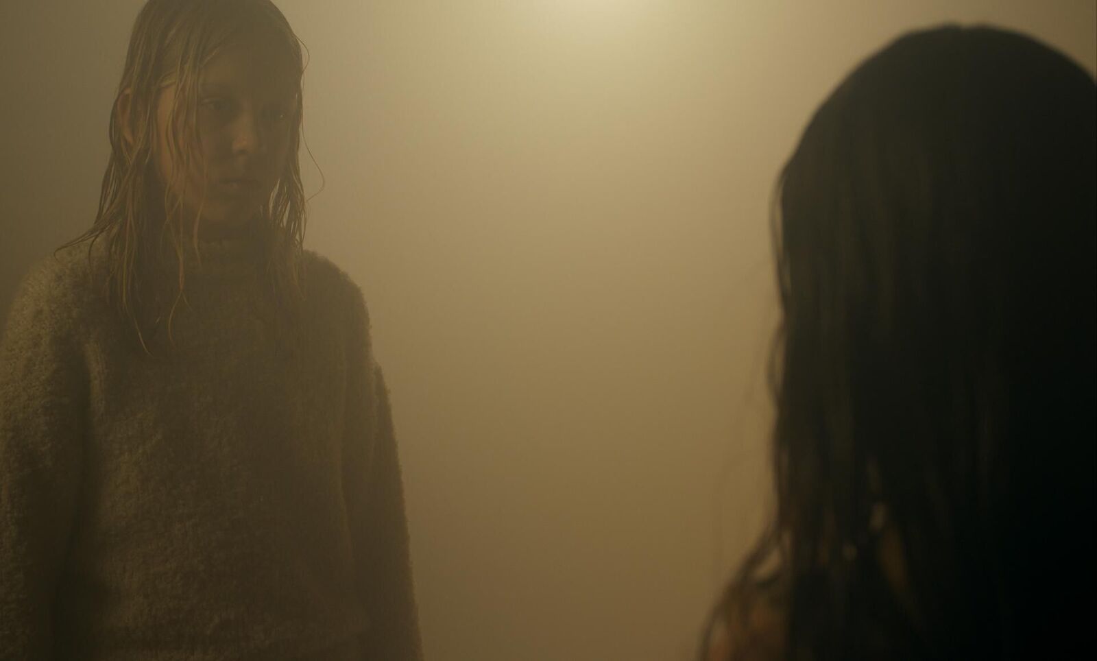 Gallery image of the project M.