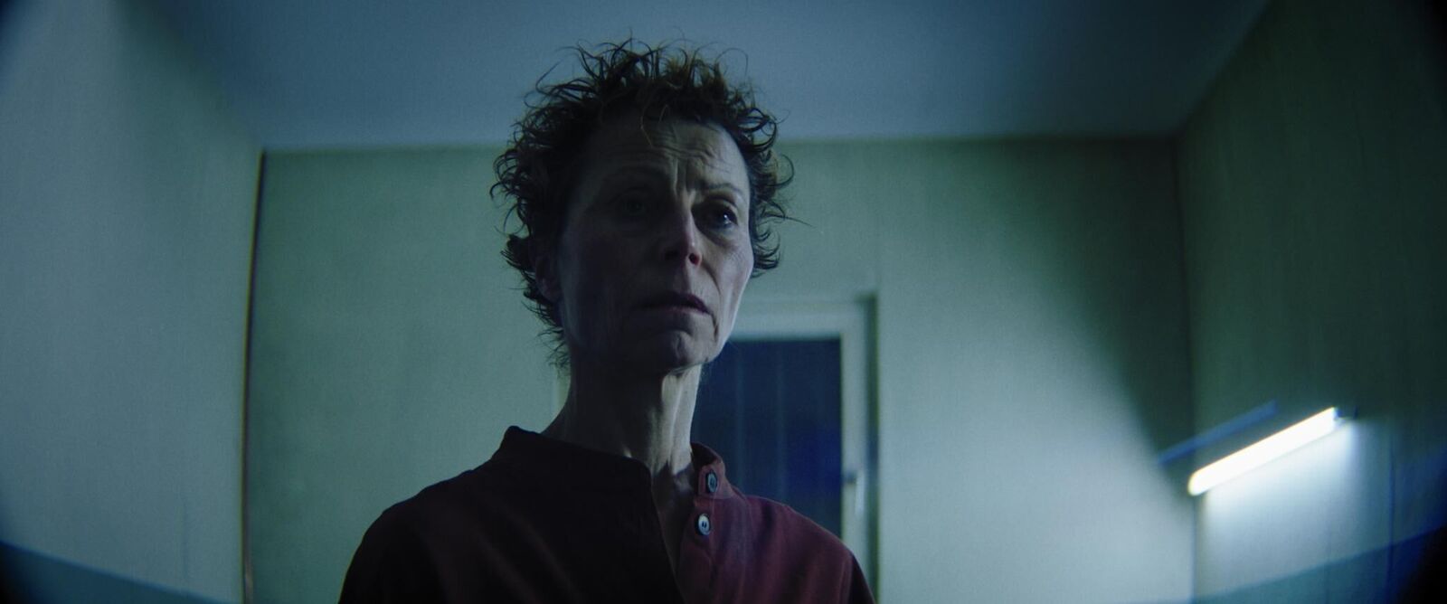 Gallery image of the project L