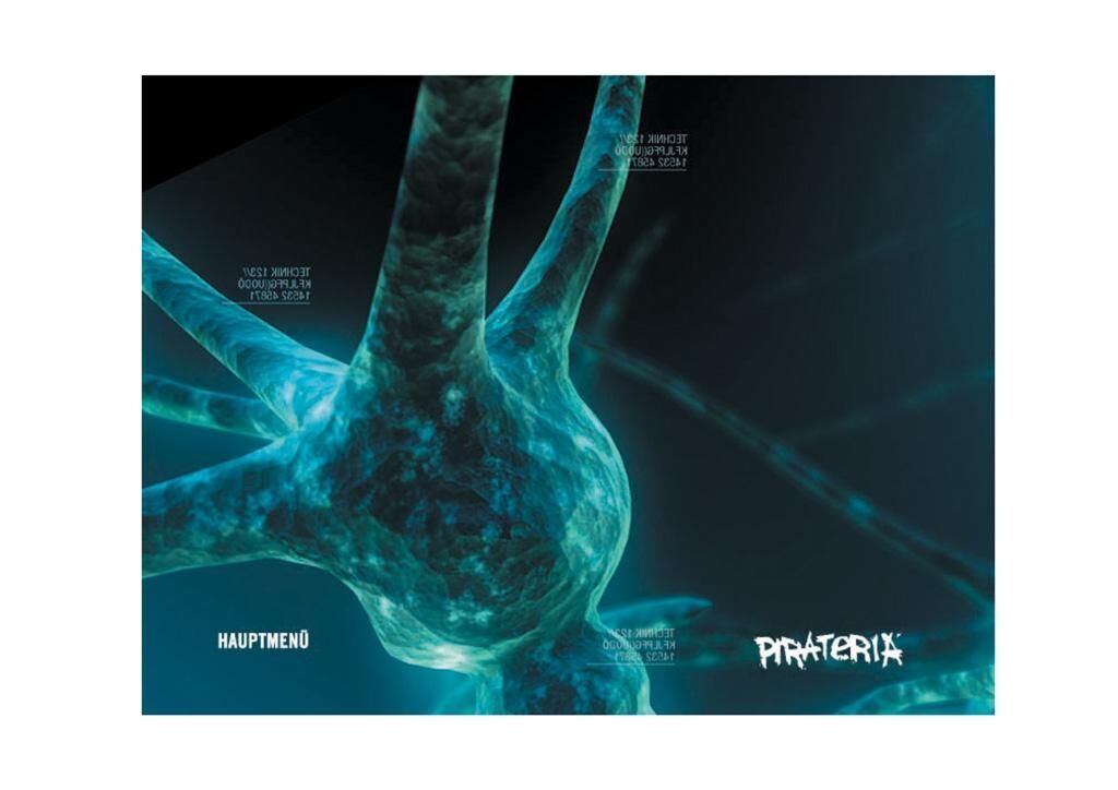 Gallery image of the project Pirateria e.V.