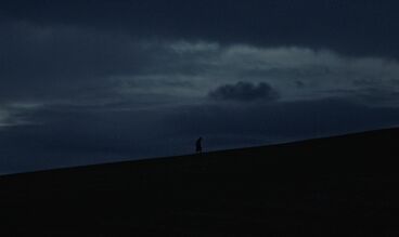to the four winds