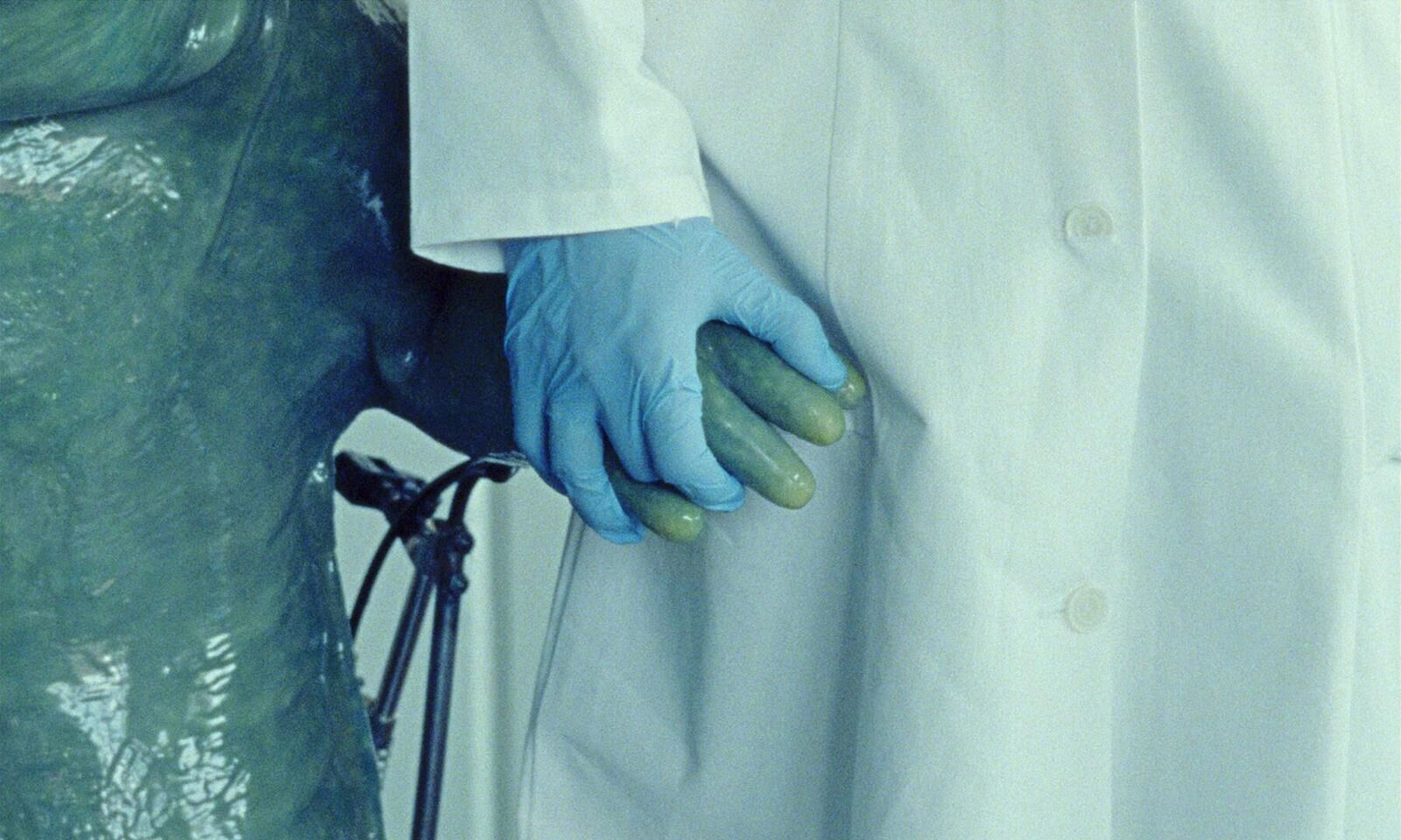 Cover image of the project The Newt Congress