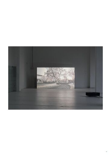 FALSE SPRING Gallery image of the project FALSE SPRING