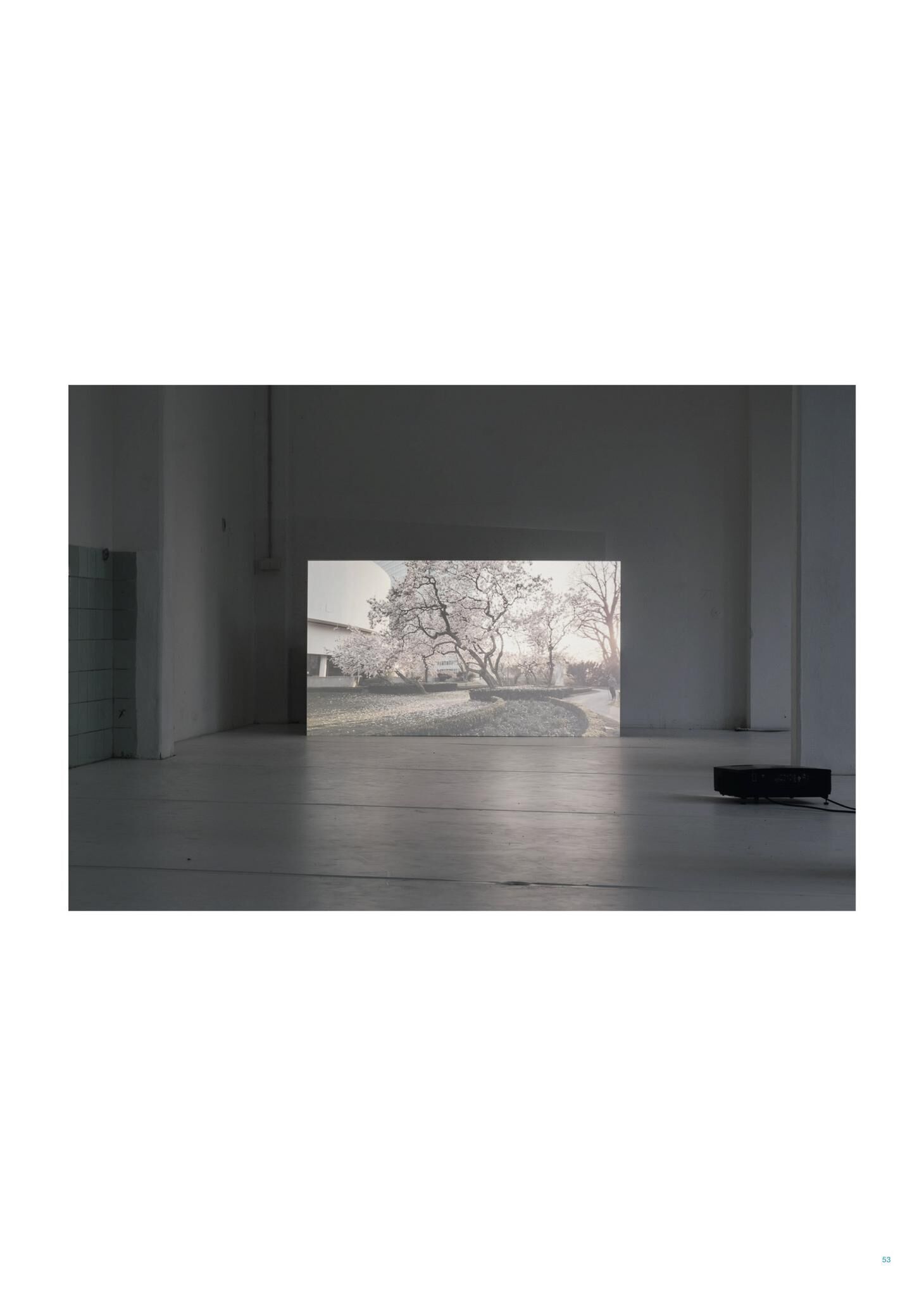Gallery image of the project FALSE SPRING