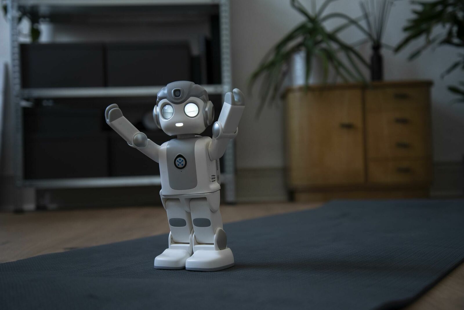 Gallery image of the project Robin – Wie technologische Systeme zur Erosion von individueller Autonomie und Meinungsbildung beitragen