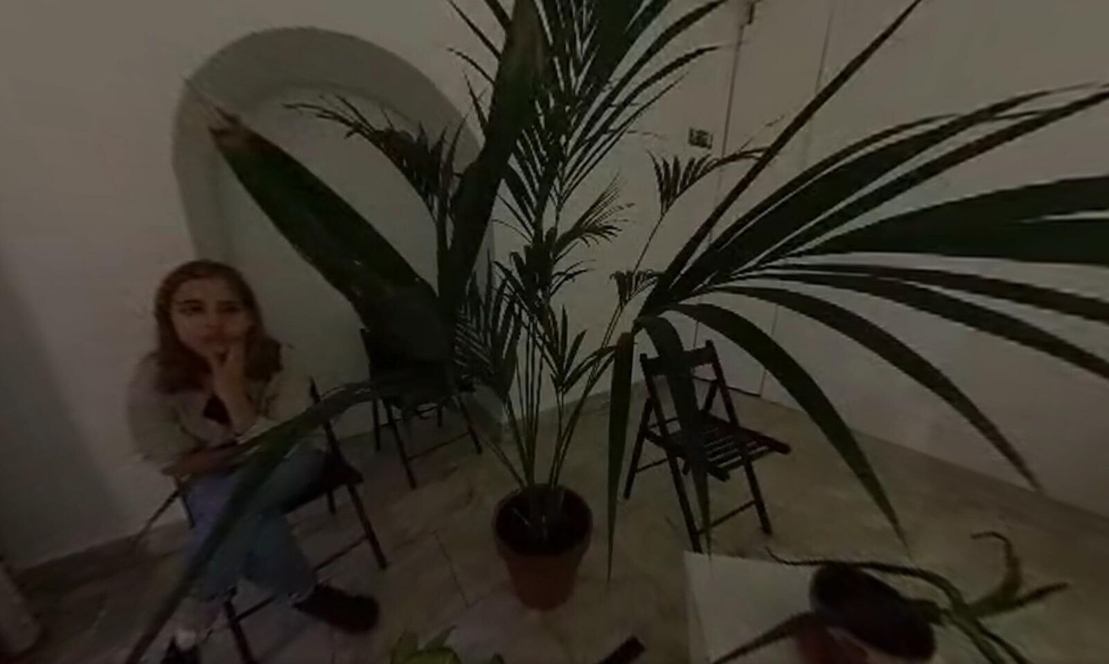 Gallery image of the project Svan/Nectar 