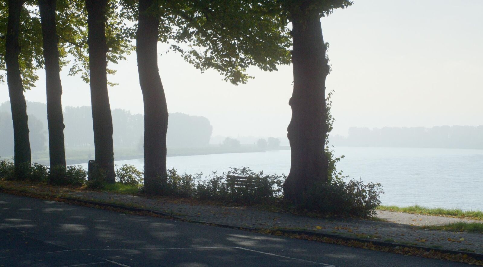 Gallery image of the project Tag am Fluss