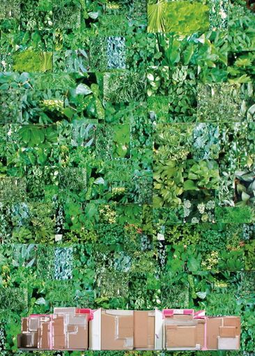 Cover image of the project sanssouci