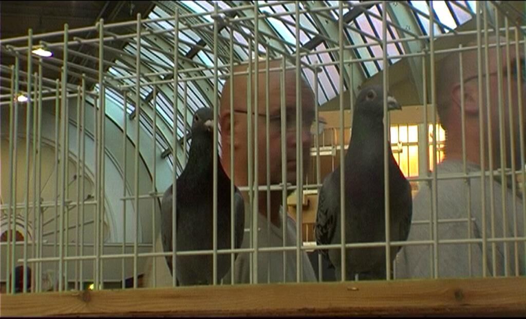 Gallery image of the project I think you‘ve got to go there