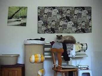 Gallery image of the project Rocky 