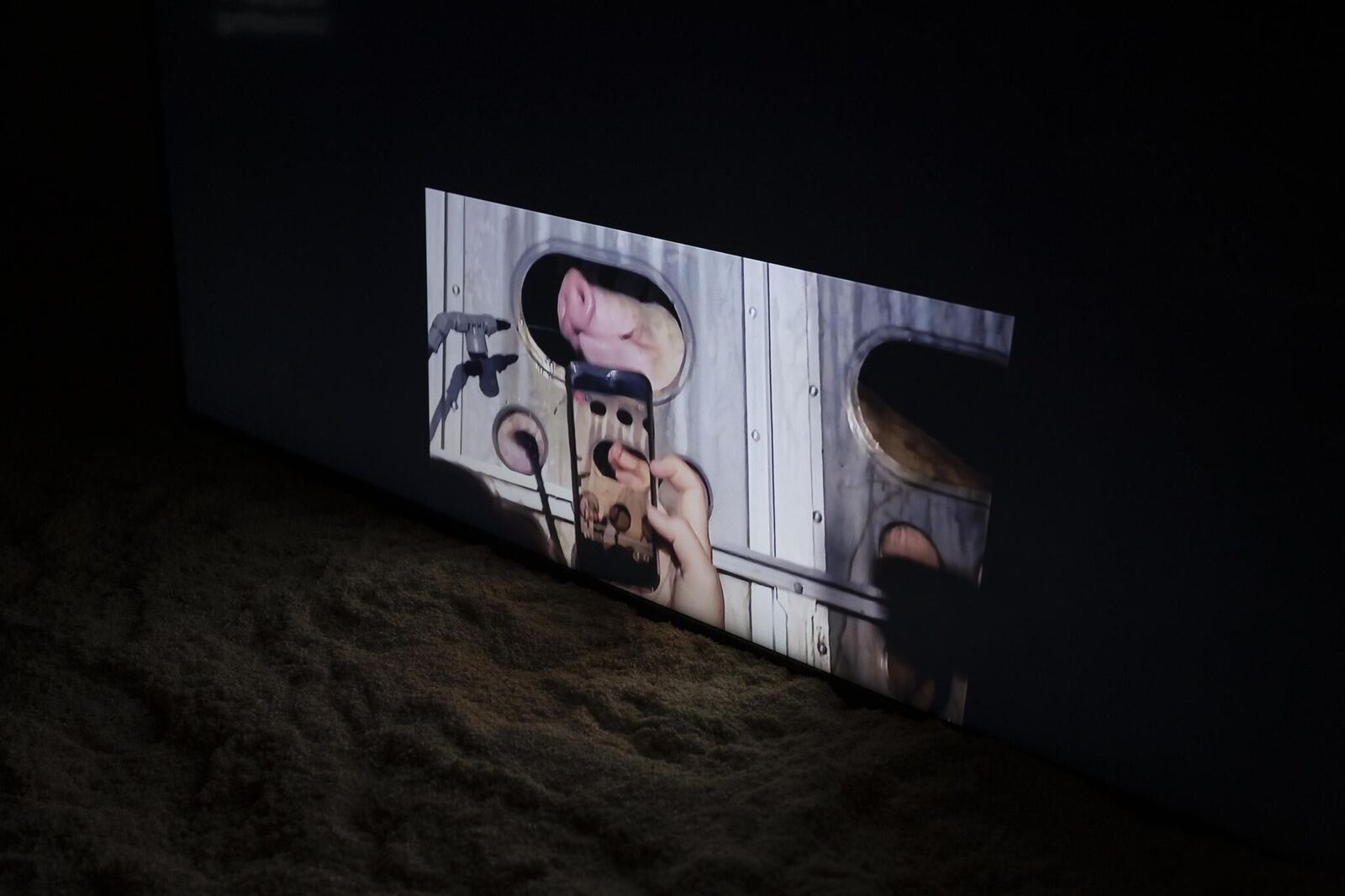 Gallery image of the project Live Stock / Live Animals