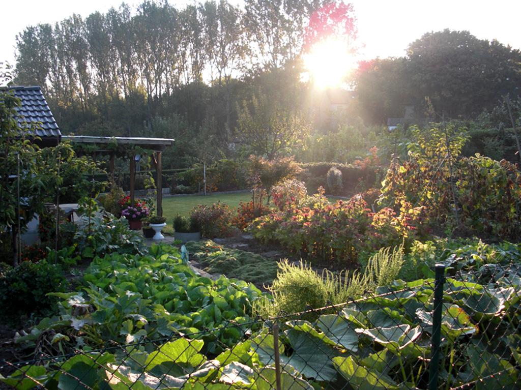 Gallery image of the project Ali sein Garten