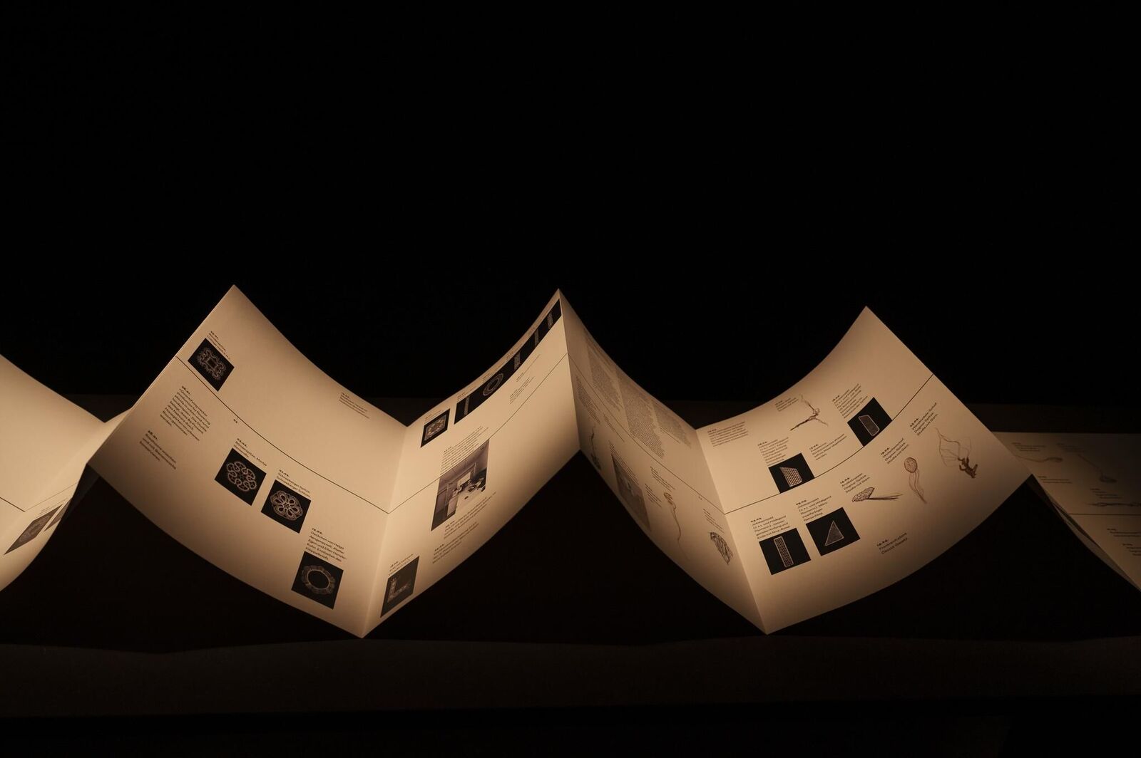 Gallery image of the project «Dann kommen ja die grünen Vögel nicht mehr wieder, wenn die Kastanien weg sind»