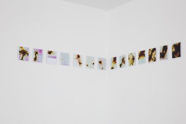 Authority Can Appear As A Cosmic Nebula Gallery image of the project Authority Can Appear As A Cosmic Nebula