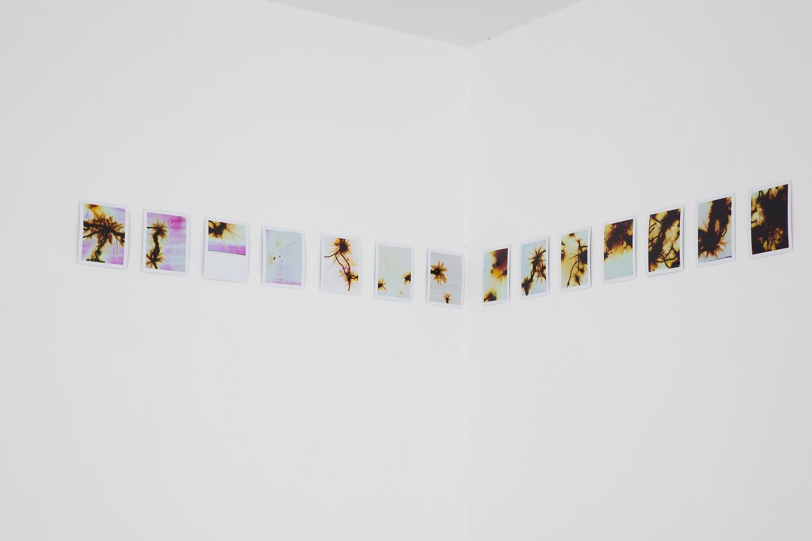 Gallery image of the project Authority Can Appear As A Cosmic Nebula