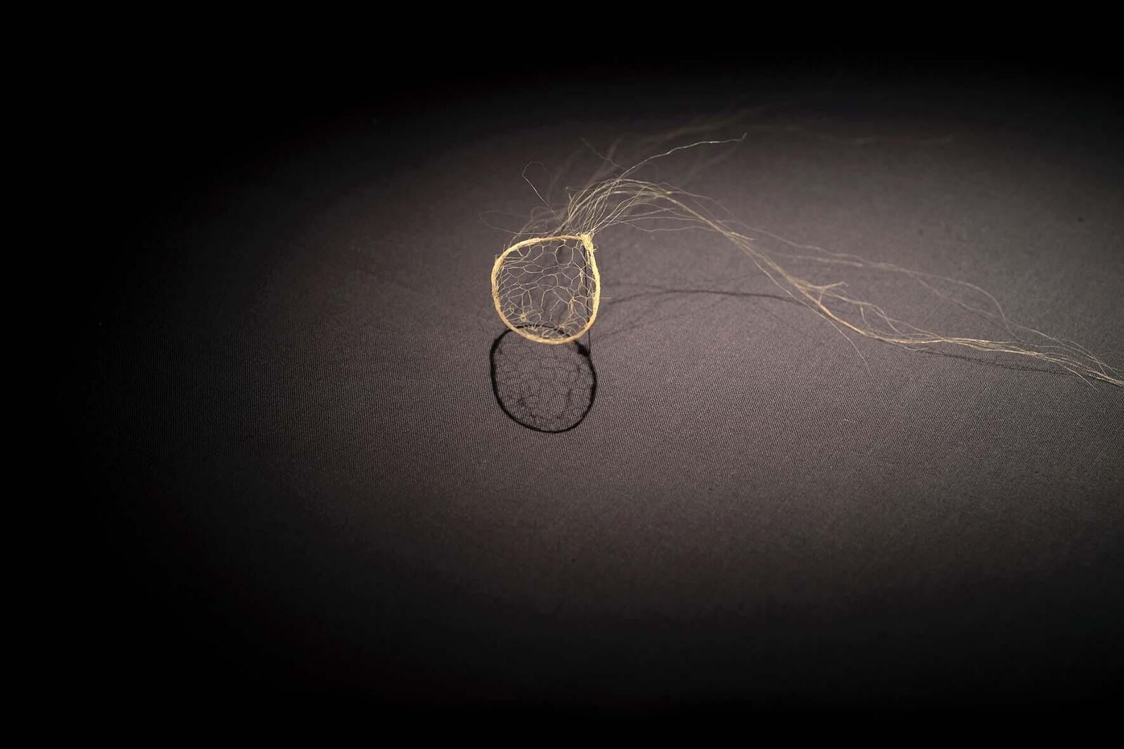 Gallery image of the project «Dann kommen ja die grünen Vögel nicht mehr wieder, wenn die Kastanien weg sind»