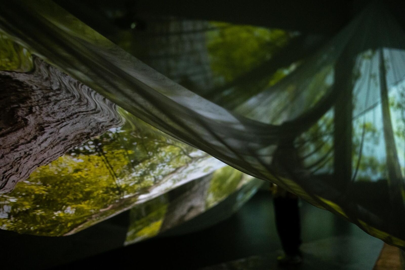 Gallery image of the project Crimson Sap Flowing Through My Veins