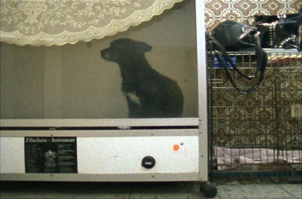 Cover image of the project Salon Toxi