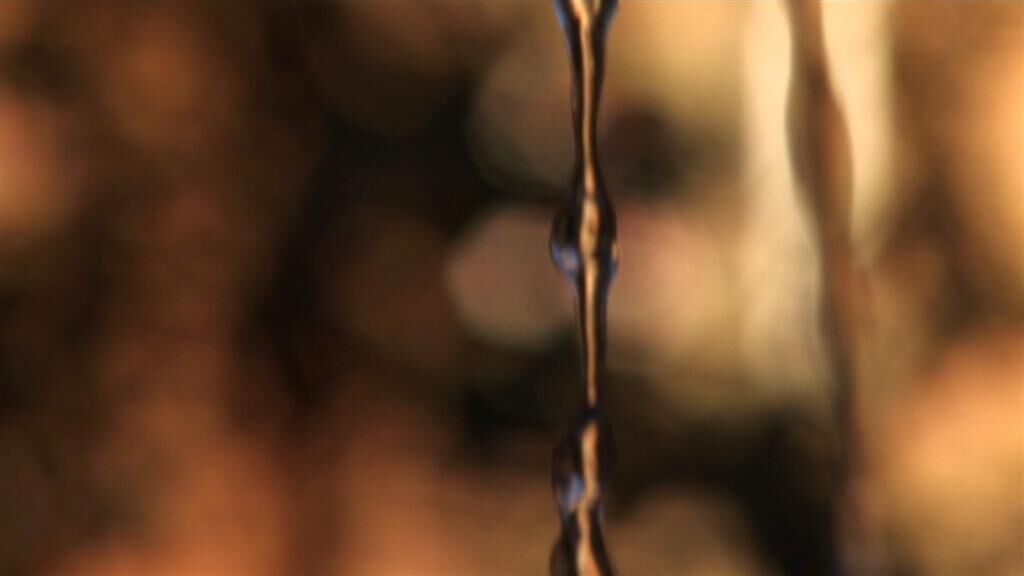 Gallery image of the project Palomafuente 