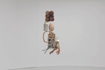 Gallery image of the project The Invisible Warbler