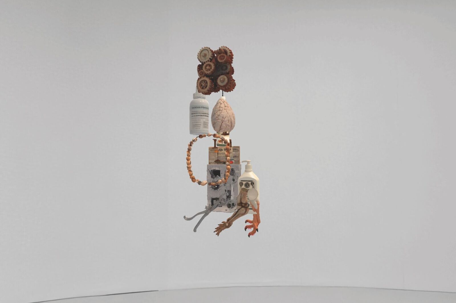 Gallery image of the project The Invisible Warbler