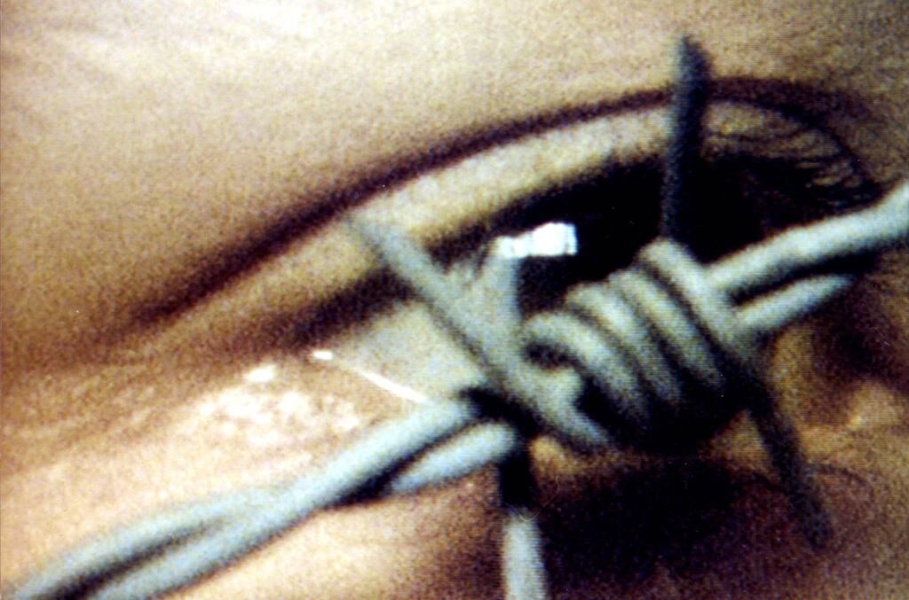 Cover image of the project Bodies & Borders