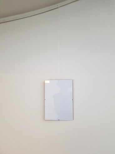 Gallery image of the project Körper und Blumen