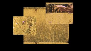 To Revere Cover image of the project To Revere