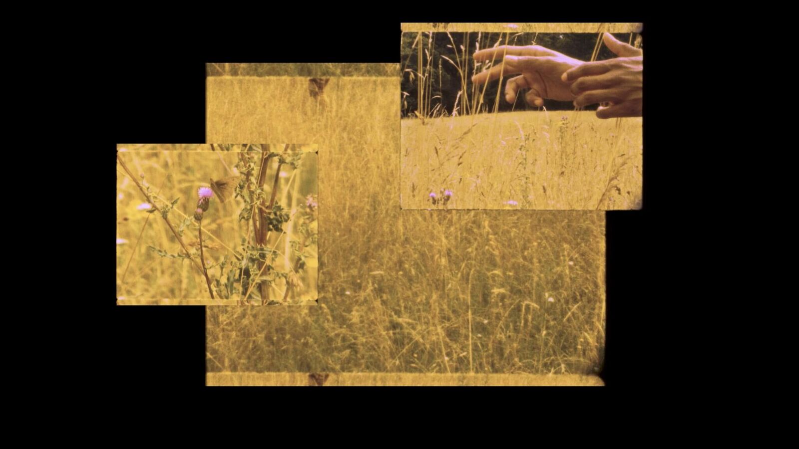 Cover image of the project To Revere