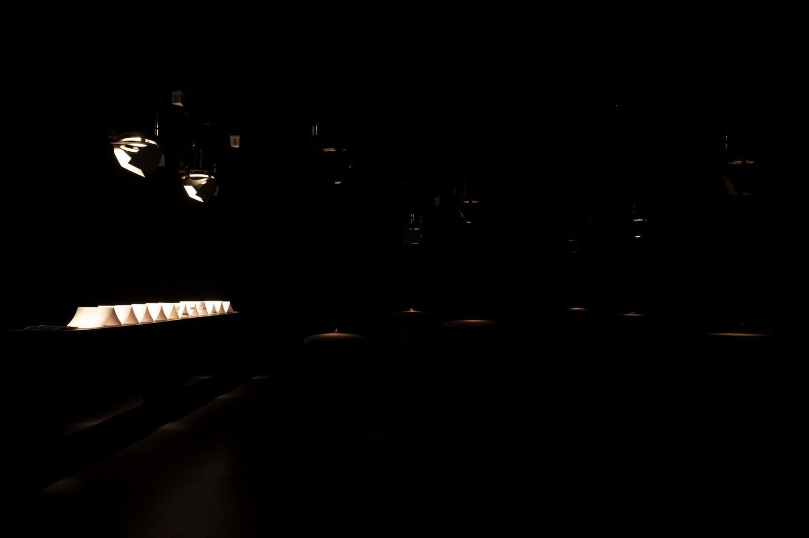 Gallery image of the project «Dann kommen ja die grünen Vögel nicht mehr wieder, wenn die Kastanien weg sind»