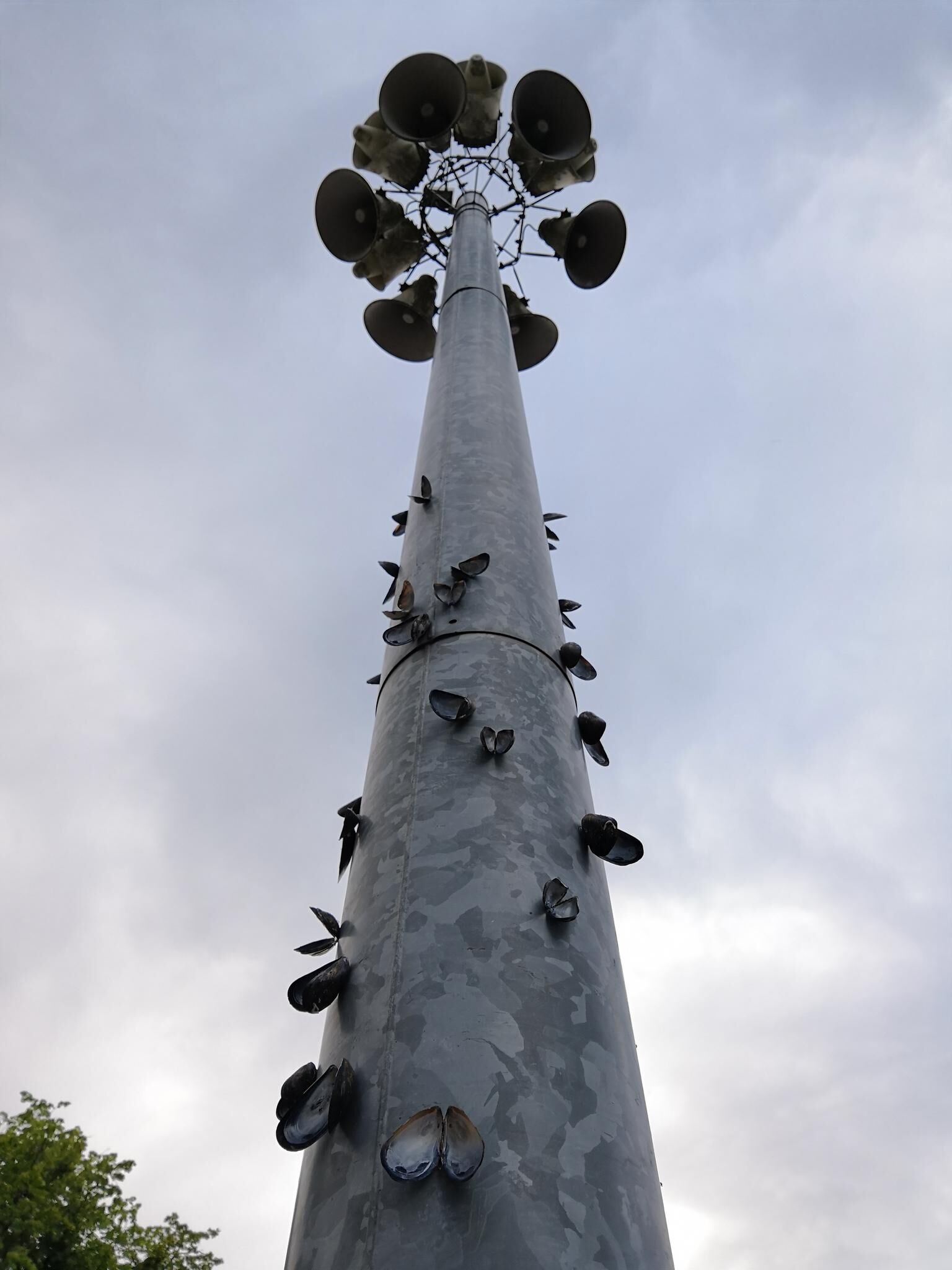 Gallery image of the project I pretend that I belong here