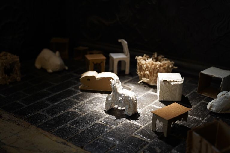 Cover image of the project Hamster Perspectives