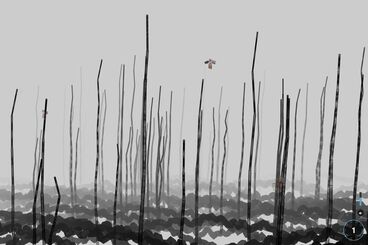 Gallery image of the project The Invisible Warbler