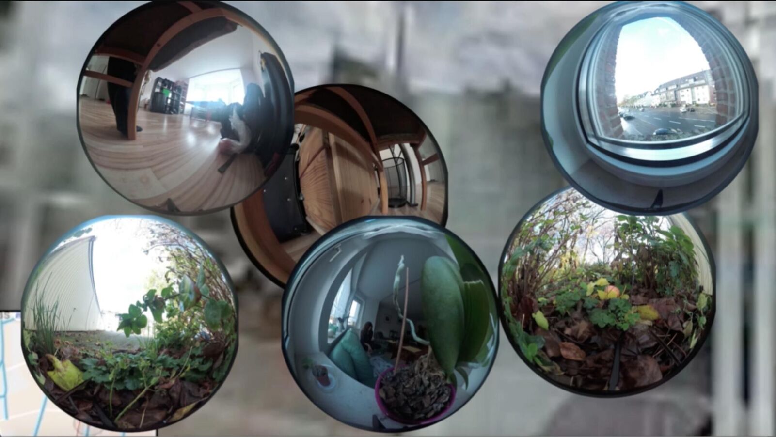 Gallery image of the project Never home alone 