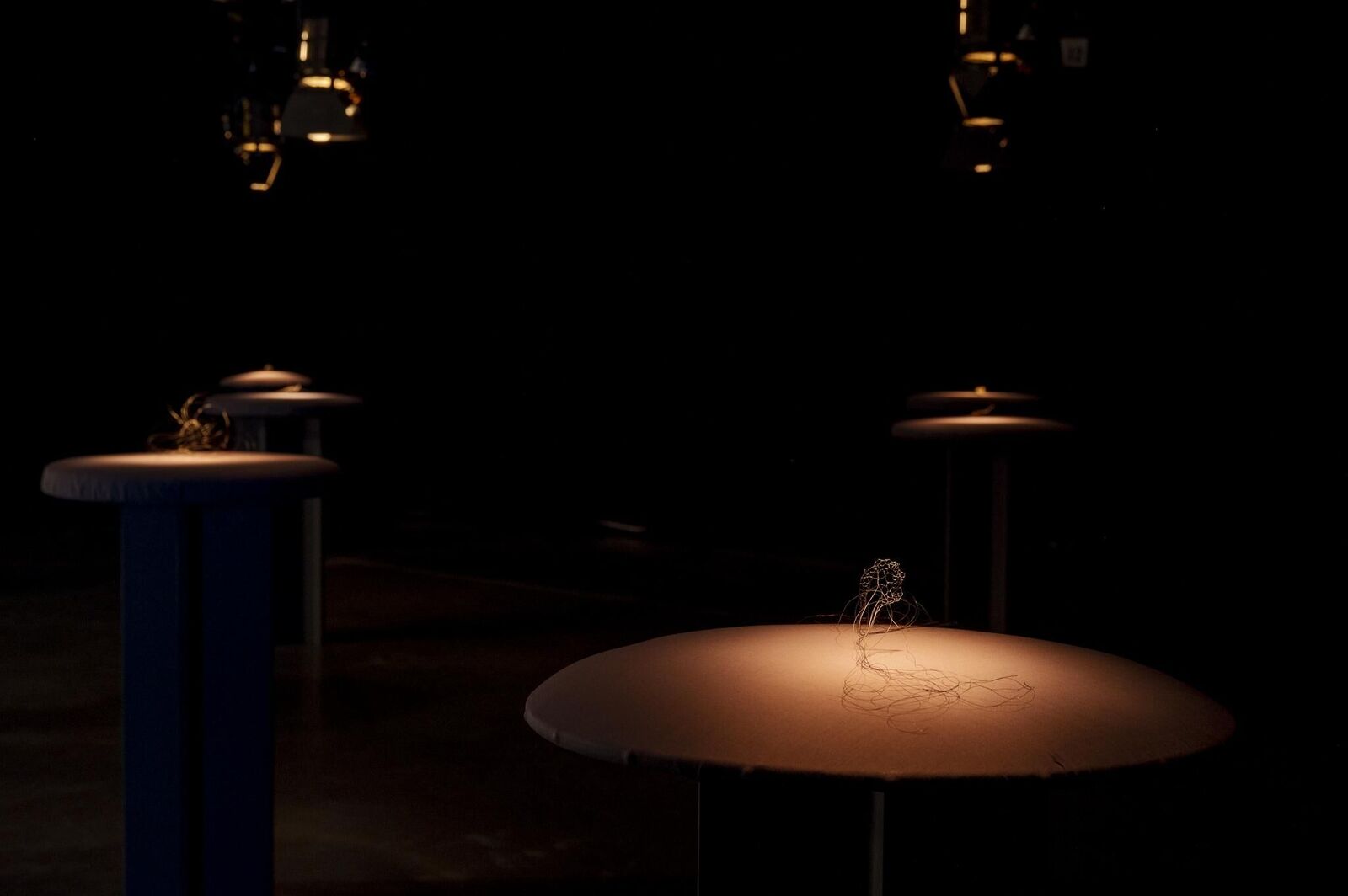 Gallery image of the project «Dann kommen ja die grünen Vögel nicht mehr wieder, wenn die Kastanien weg sind»