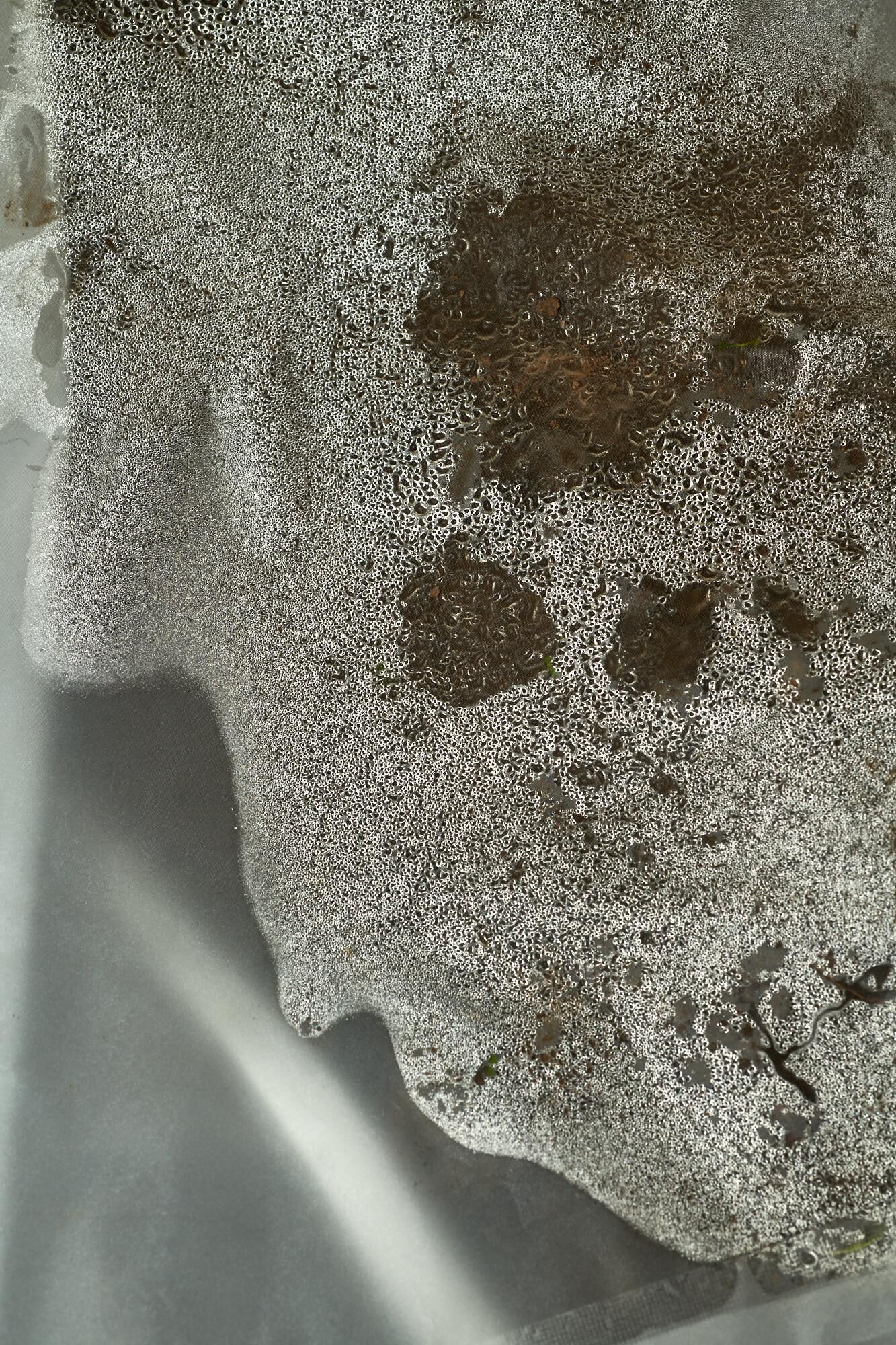 Gallery image of the project HOT