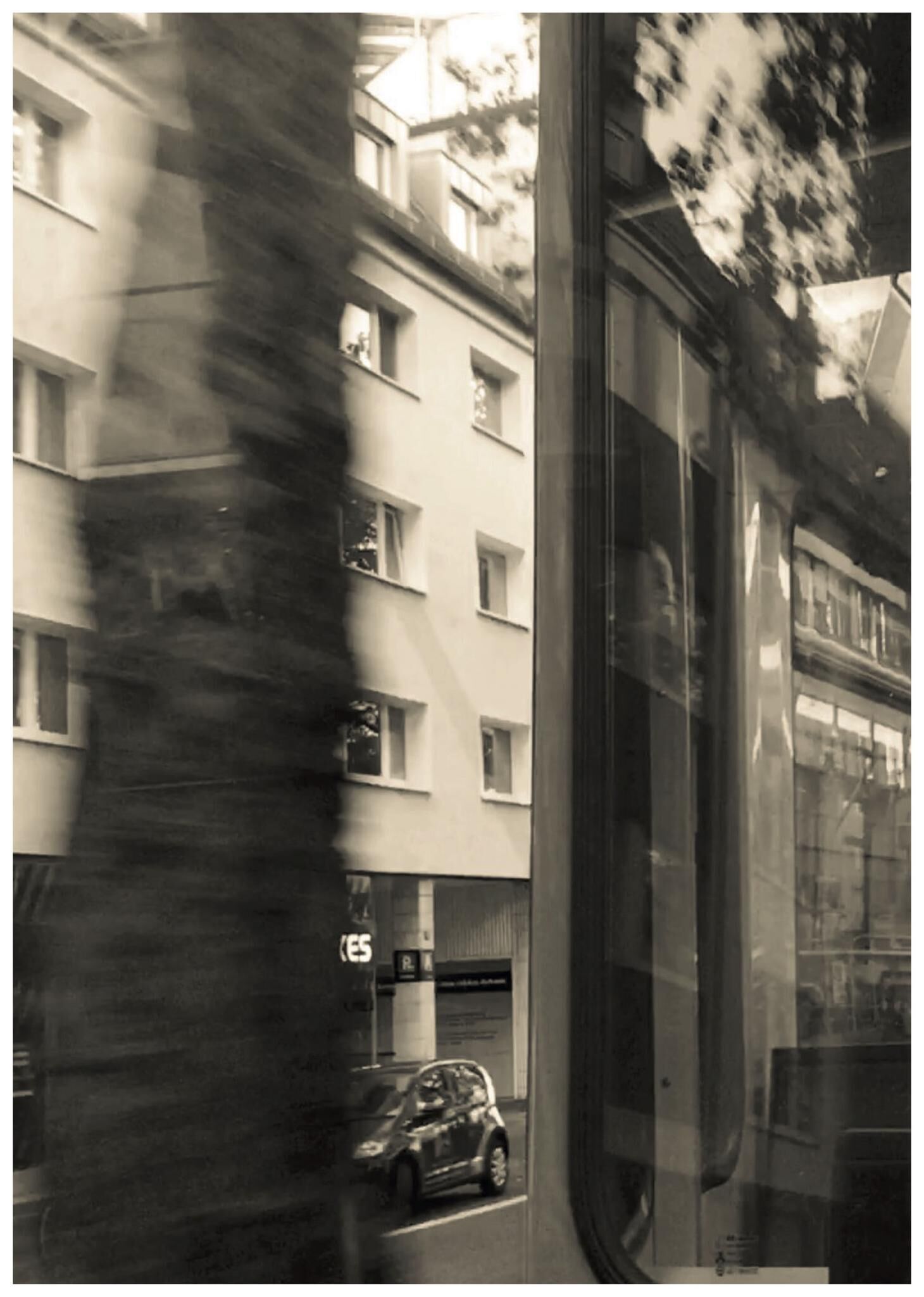 Gallery image of the project FALSE SPRING