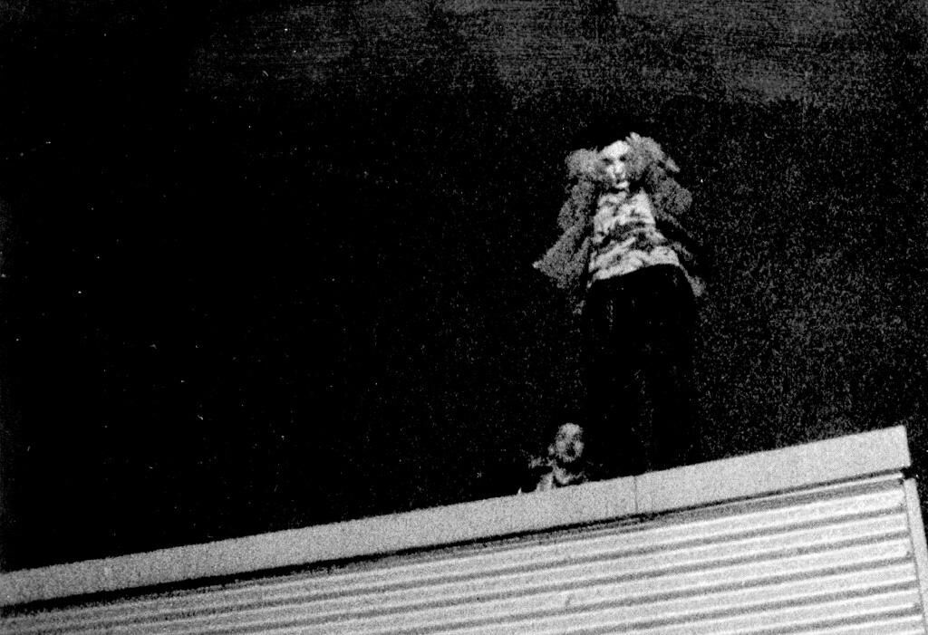 Gallery image of the project Auf‘m Dach