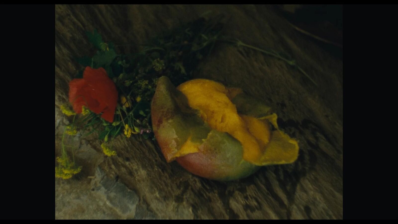 Gallery image of the project Herkules