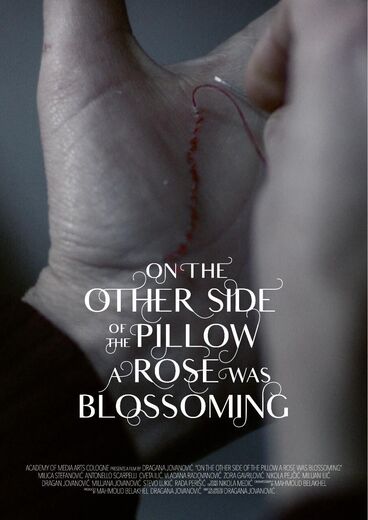 Cover image of the project On the other side of the pillow a rose was blossoming